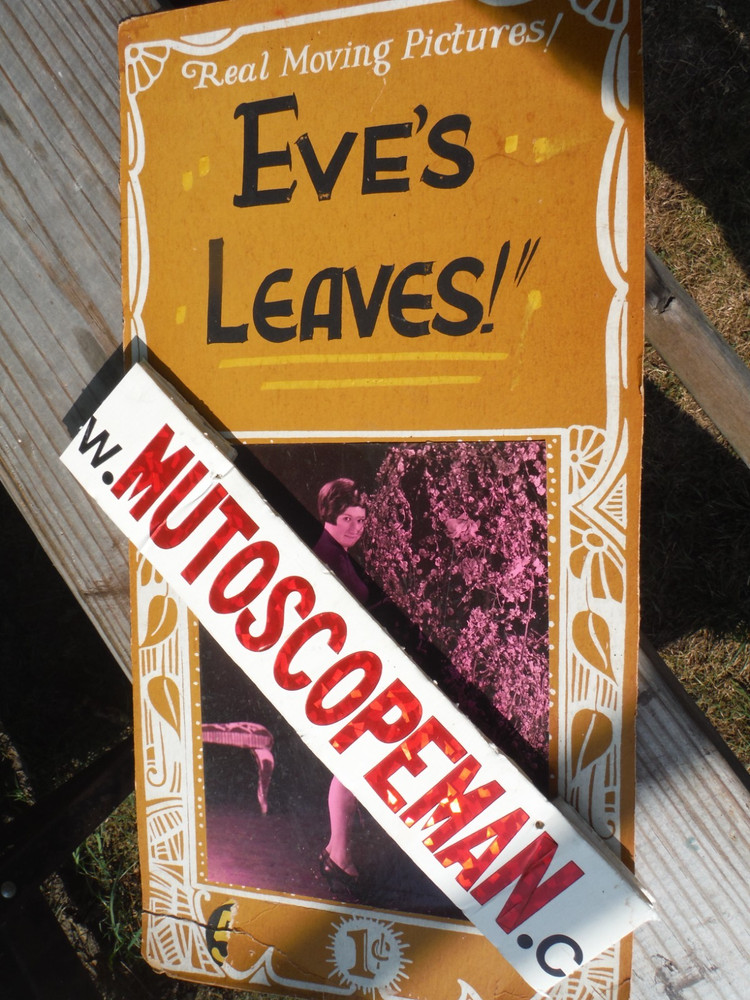 Rare 1920's Risque Eves Leaves / Original Mutoscope Marquee Card