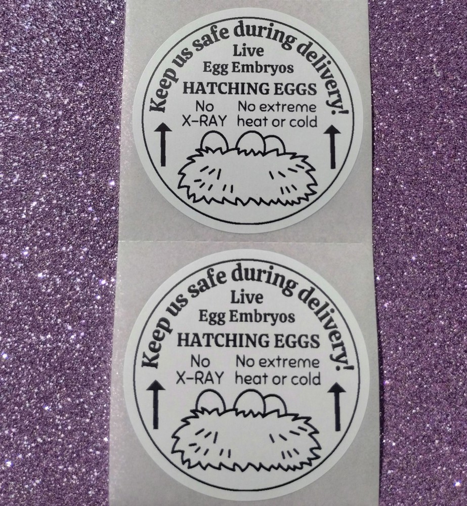 40 LIVE EGG EMBRYOS STICKERS 2" LABELS SEALS SCRATCH RESISTANT HATCHING EGGS