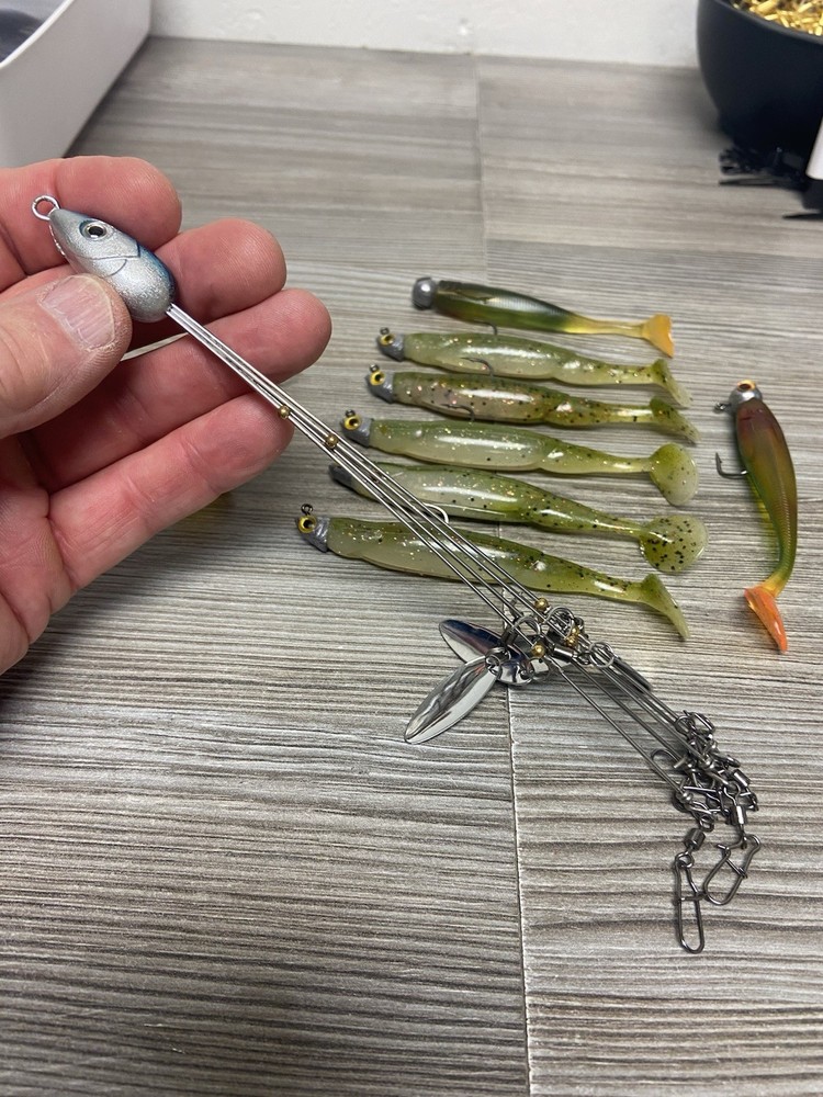 10 Piece A Rig With Baits/lot