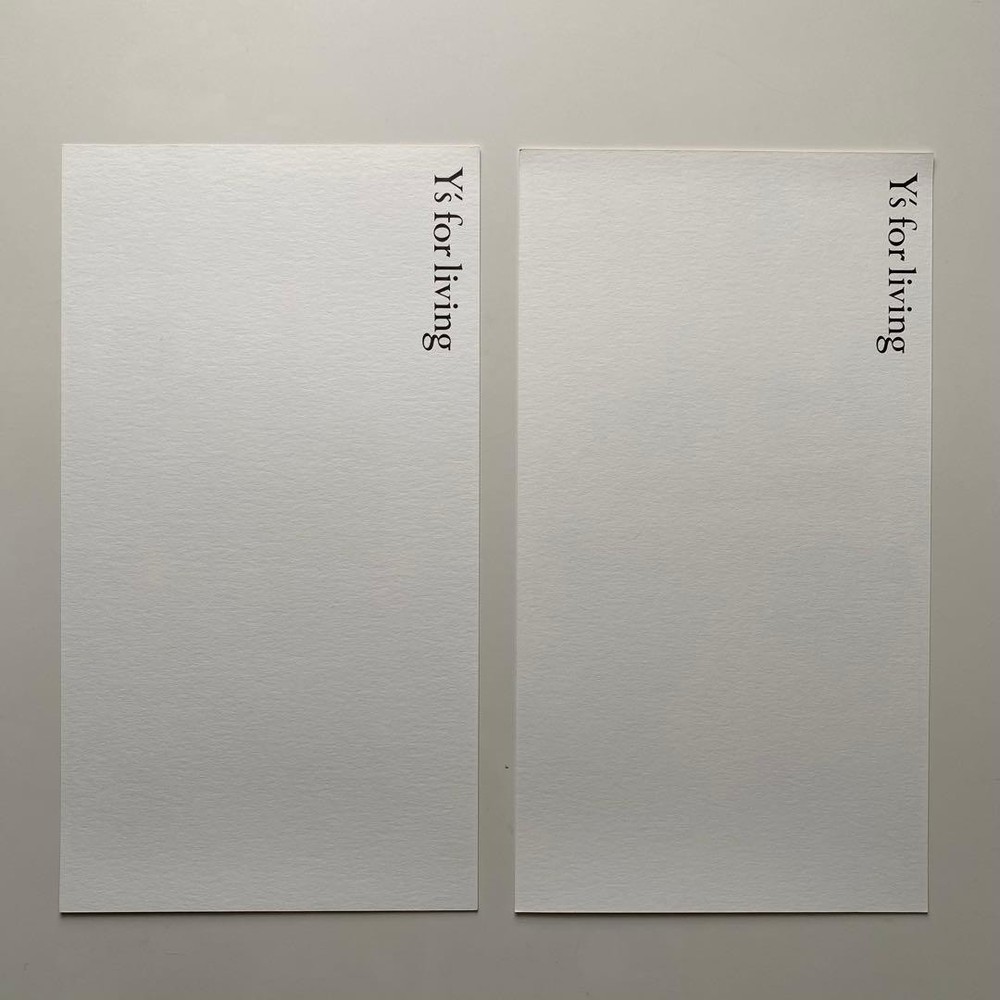 Y LIVing CollArt Catalog