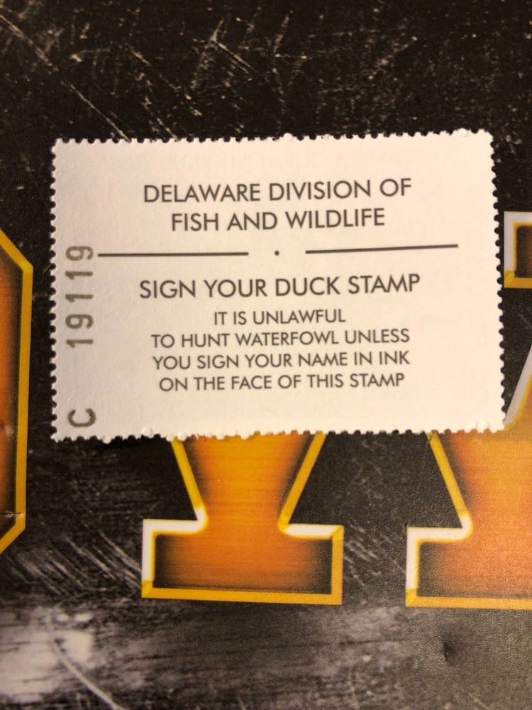 1998 Delaware State Duck Stamp