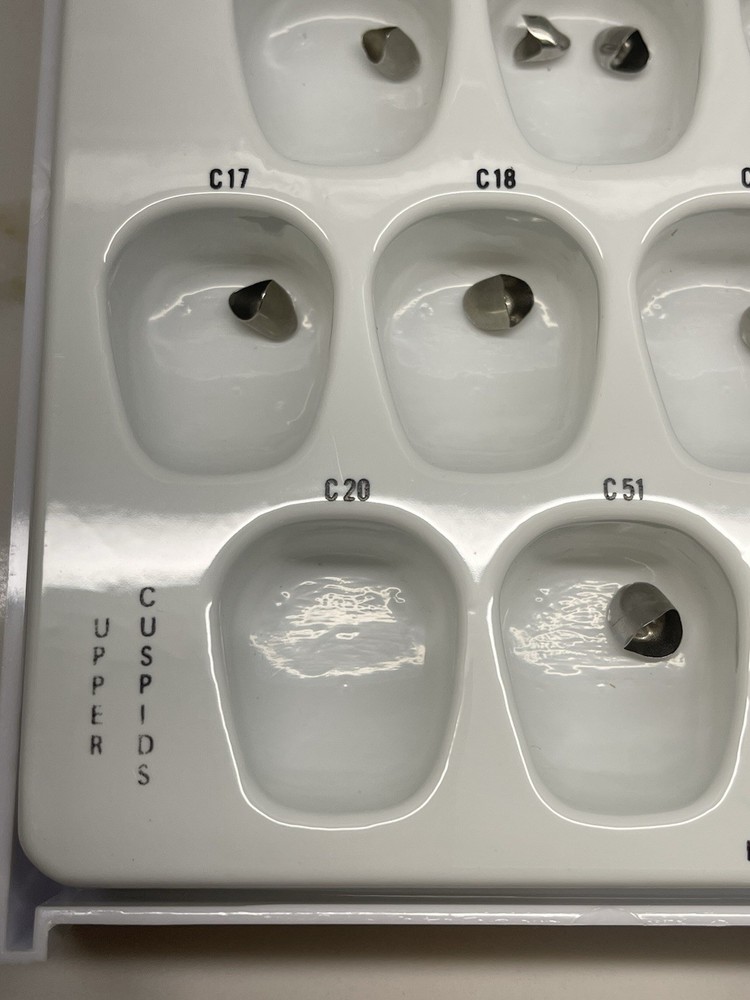Upper Cuspid Crowns by Rugby Labs plus Extras 🦷