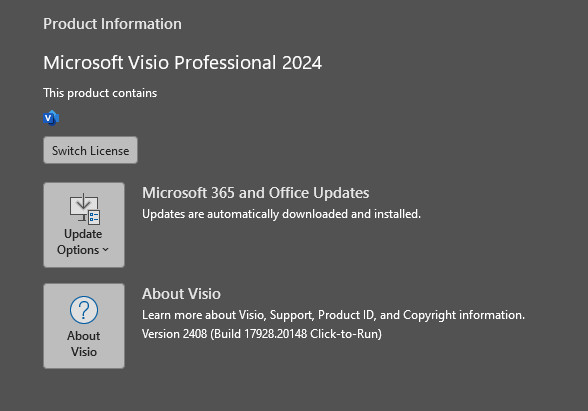 Microsoft Visio 2024 Professional : Lifetime License for Windows With USB