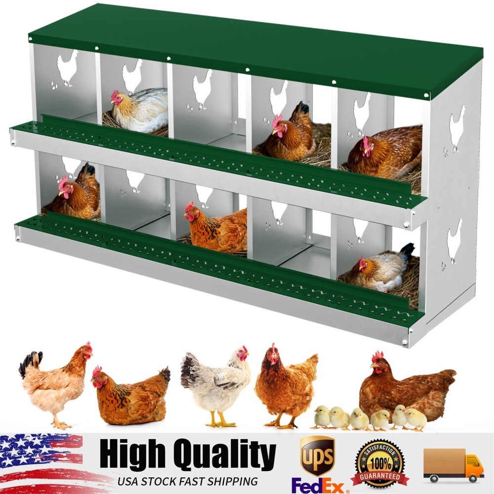 10 Holes Chicken Nesting Box, Metal Chicken Nesting Boxes, without Bracket Legs