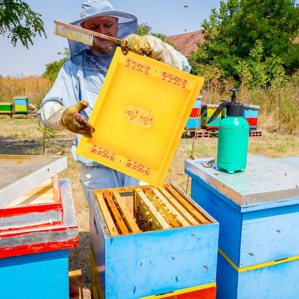 2 Pack 10 Frame Bee Top Feeder, Assembled Plastic Beehive Langstroth Candy Bo...