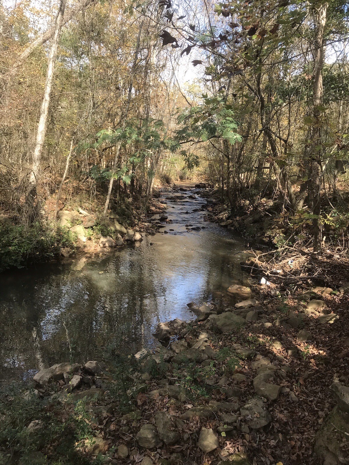 10 lbs Georgia ”FATWOOD FUEL” Kindling Firewood Lighter Ocote Chez JonesTHE BEST