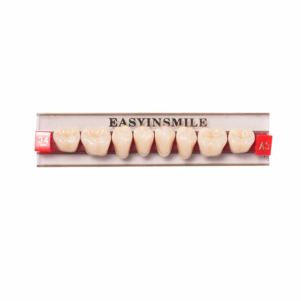 84/96pc Acrylic Resin Teeth Denture Dental Teeth Anterior Posterior A1/A2/A3 U/L
