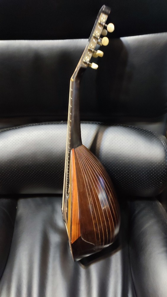 1904 Luigi Embergher Mandolin