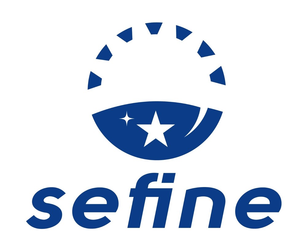 Simpson Pit Dominator Crew Shoe Size 8 PD800K