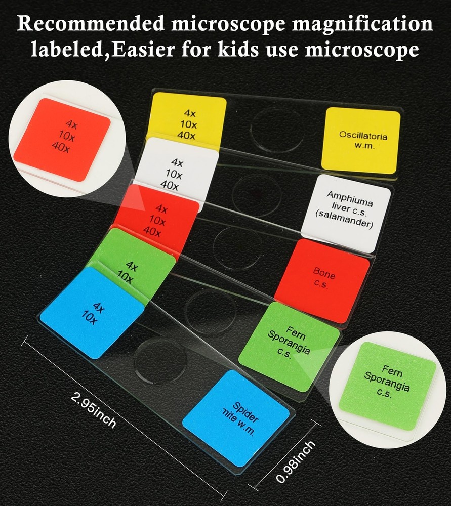 120 Microscope Slides with Specimens Set, Lab-Grade Prepared Microscope Slide...