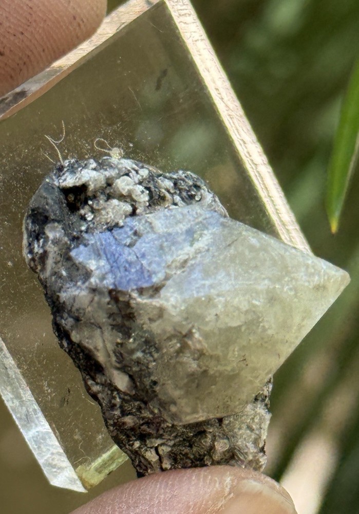18 Grams Herderite On Matrix