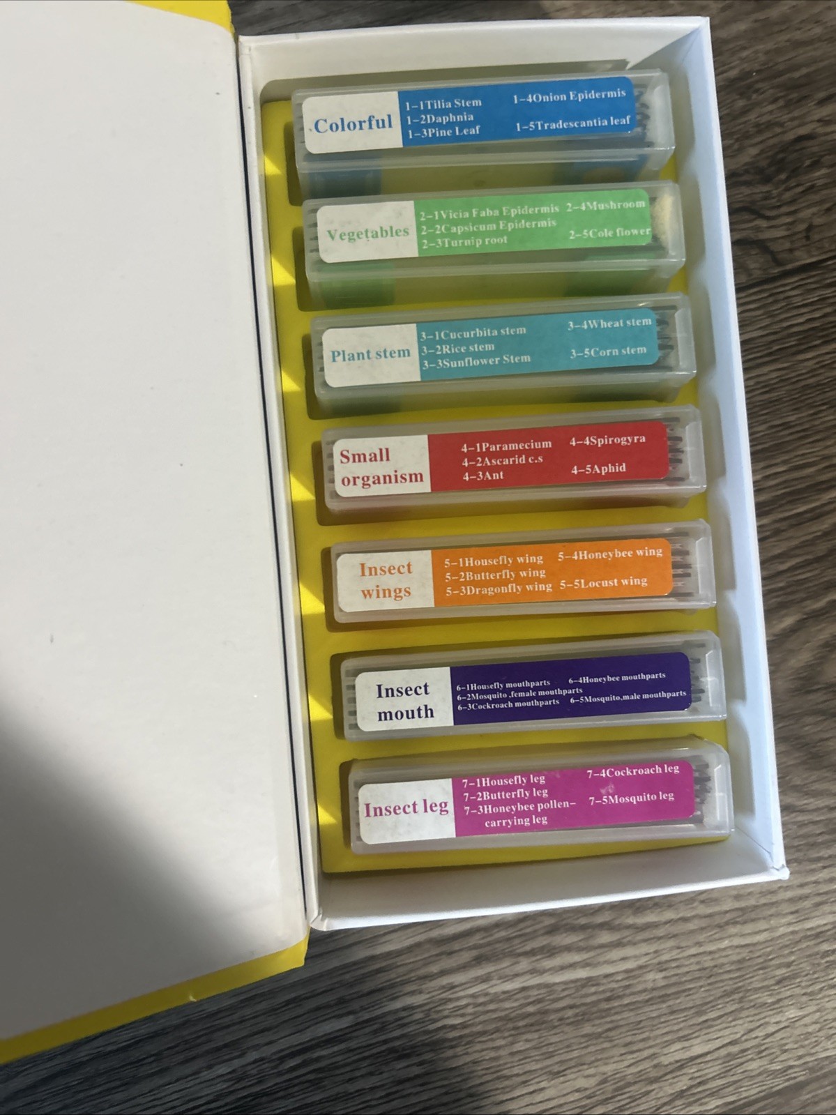 35pcs Biology Glass Prepared Microscope Slides Lab Specimens Accessories