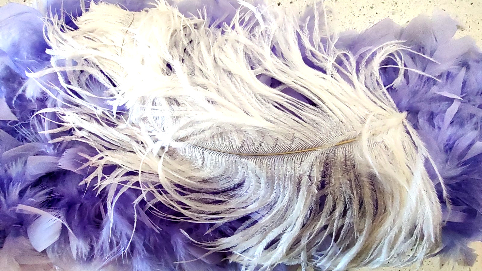 Lot of 4- 6 ft Feather Boas, Feather Bracelet and 14" Ostrich Feather