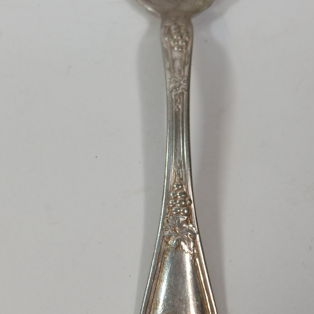 Isabella Grape 1913 R.C. Co. International Silverplate Sugar Spoon Vintage