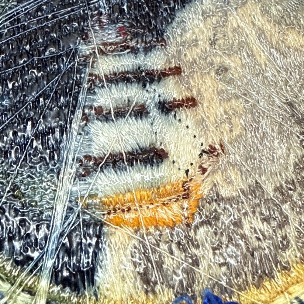 Vintage Apollo XII Crew Patch NASA Original 60s Space Program Patch - 4 inch