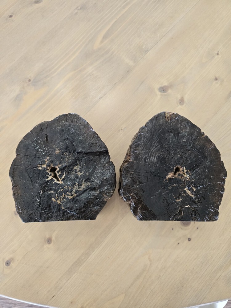 Petrified Wood Book Ends Glossed