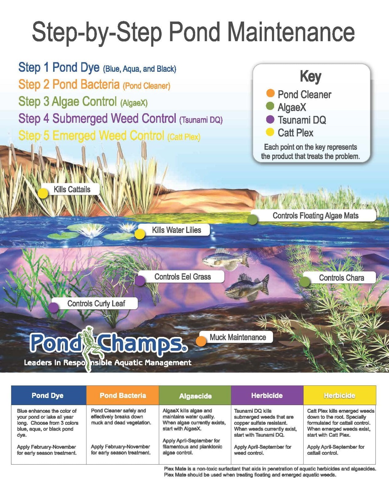 Blue Lake and Pond Dye - One Gallon of Professional Lake & Pond Dye - Treats Up