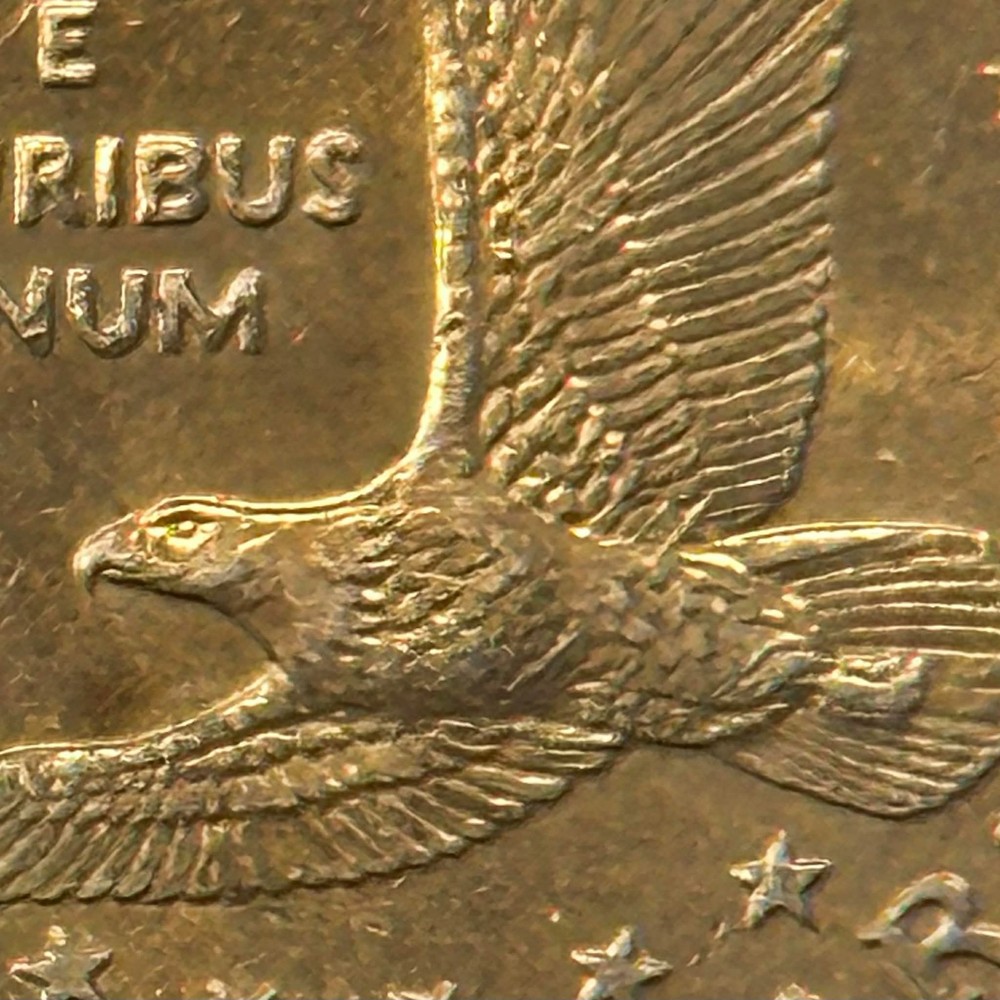 2000-P Sacagawea Dollar Wounded Eagle / Speared Eagle Variety. FS901 CIRCULATED!