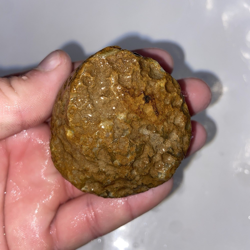 Raw Quartz Nodule Rough Stone 5.66 Oz