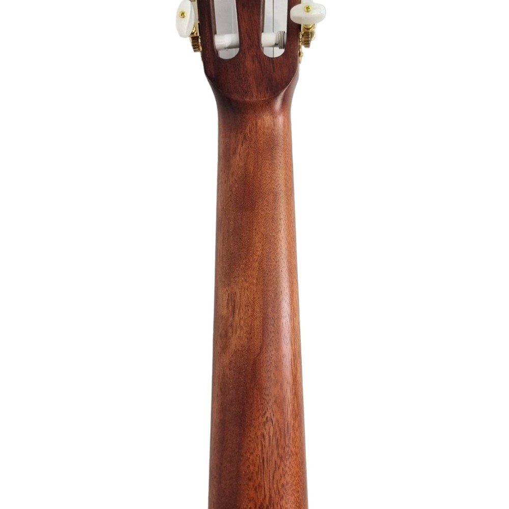 Haze Matte C551BCEQSM Solid Top Thin Body Arched Back Classical Guitar