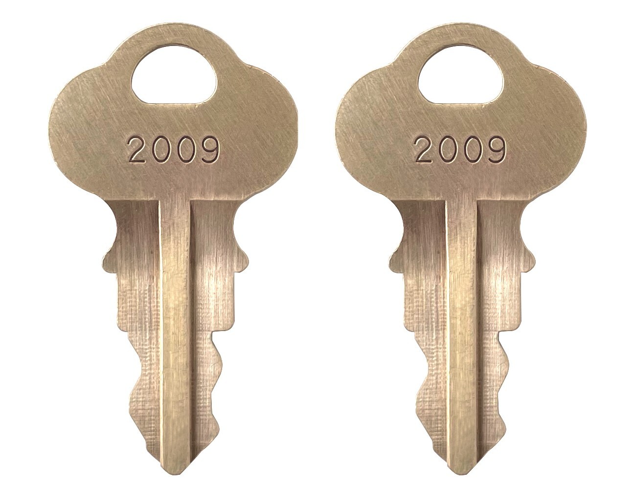 2 Keys Lockswitch H2009 for CORNELIUS Soda Fountain Beverage Dispenser