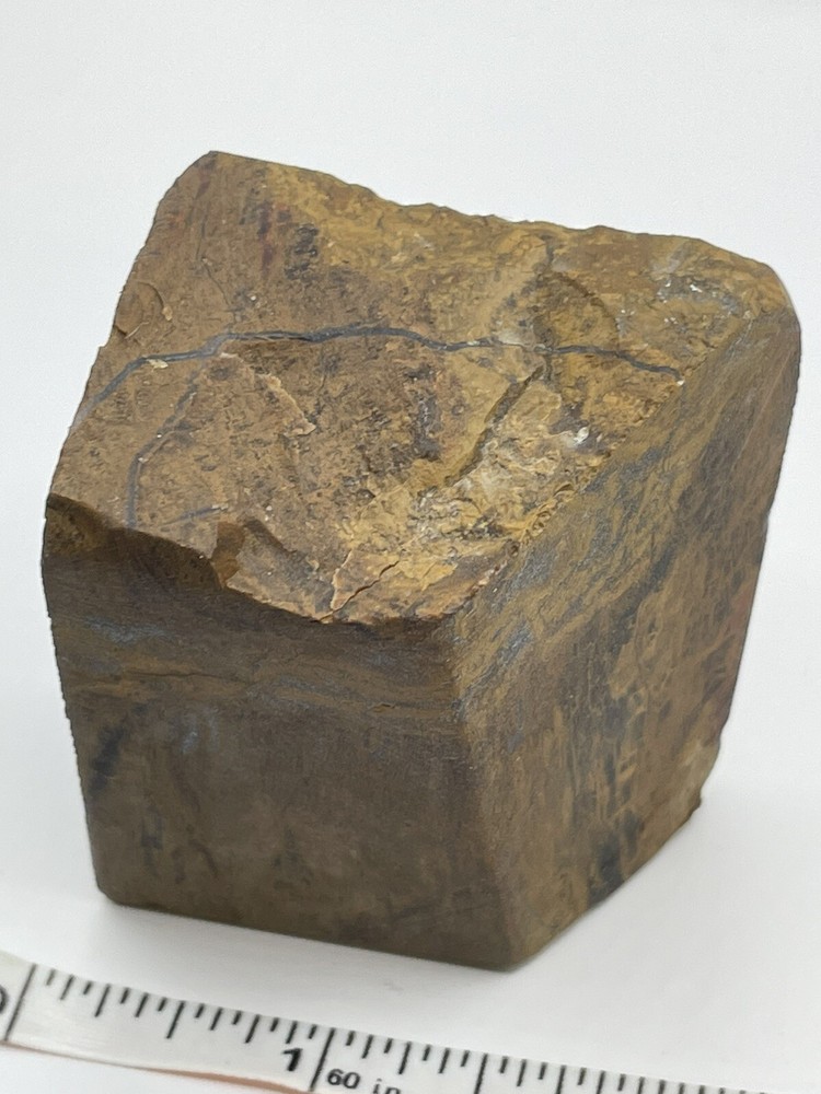 Petrified wood