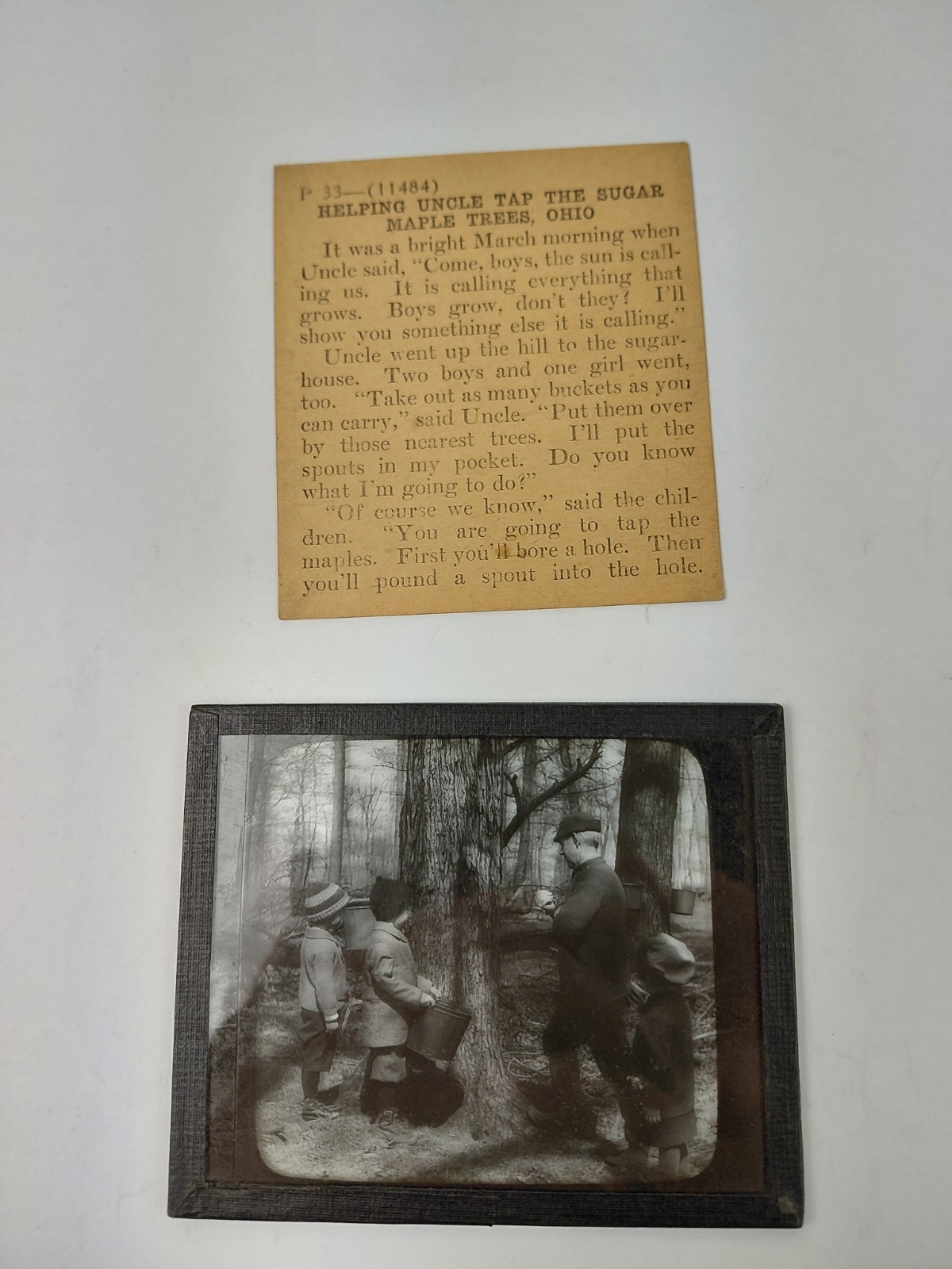 Magic Lantern Glass Slide Photo Keystone P33 Tapping Sugar Maple Tree Ohio