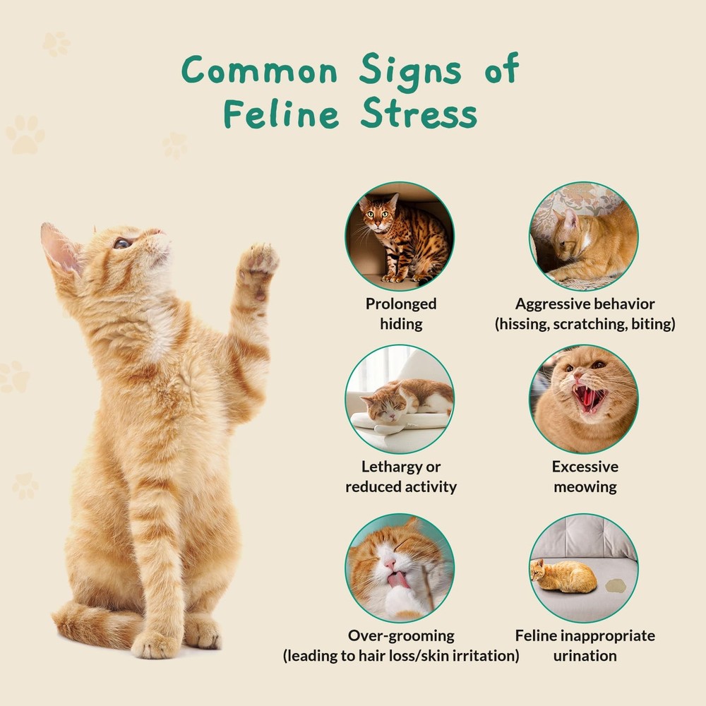 Pawith Calming Pop Patch for Cat Travel – Pheromone Diffuser for Cats Reduces...