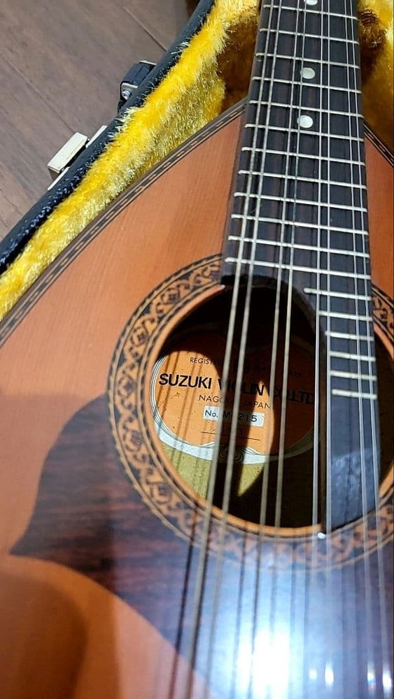 Suzuki Mandolin Violin Junk with some damage Case