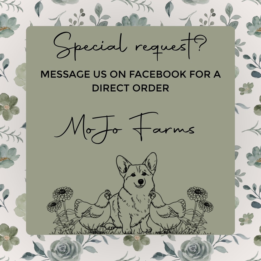 12+ Purebred Welsummer Hatching Eggs | NPIP Certified Flock | Speckled Eggs