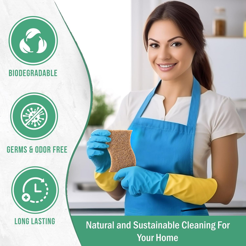 6 Pack Natural Kitchen Sponges, Compostable White Cellulose & Organic Coconut Sc