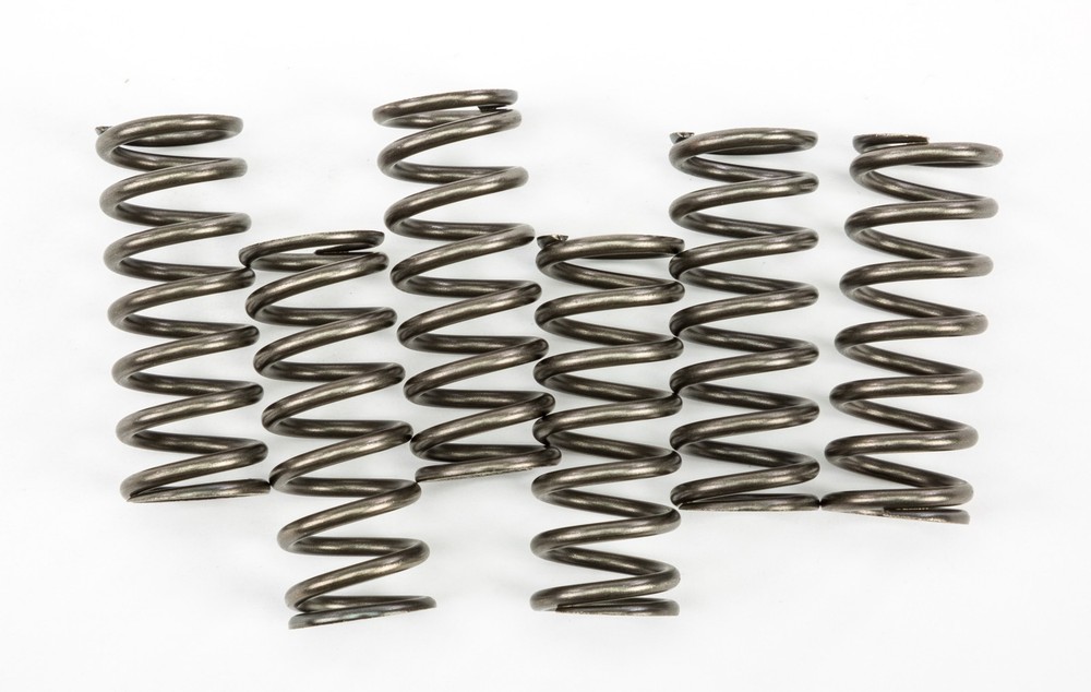 EBC Clutch Spring Set CSK221