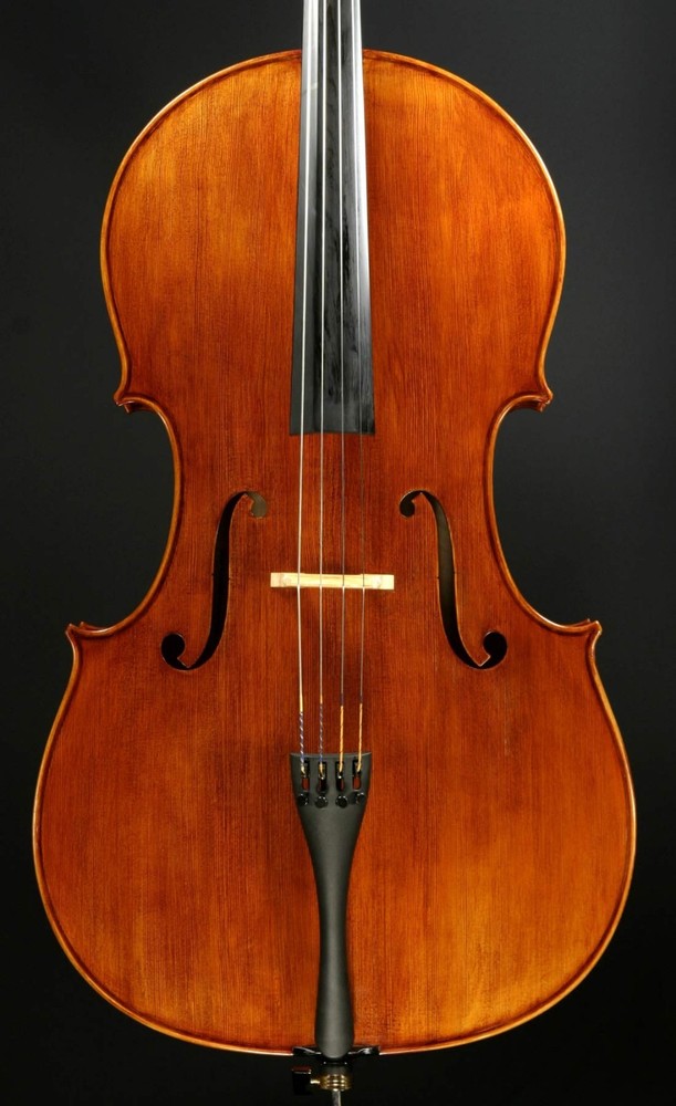 Snow SC200 Cello