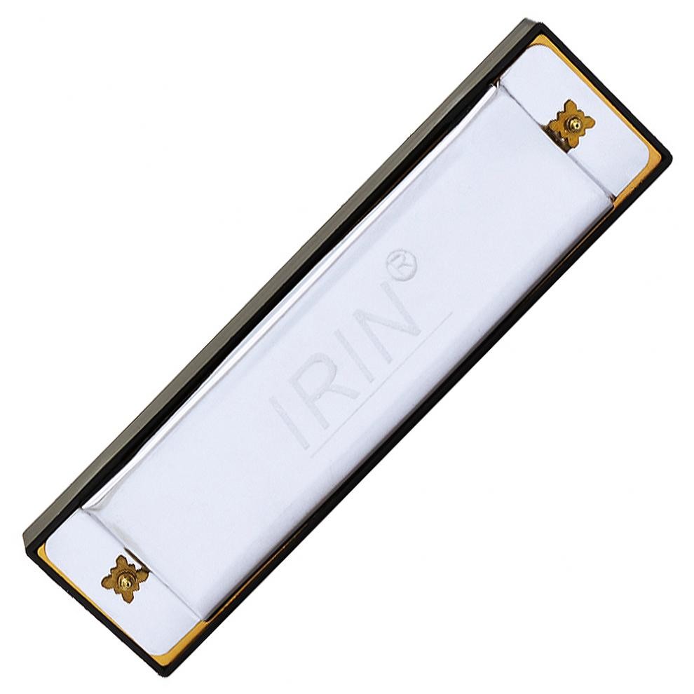 Harmonica for Students Beginners 10 Hole Diatonic Harmonica Key of C, Silver