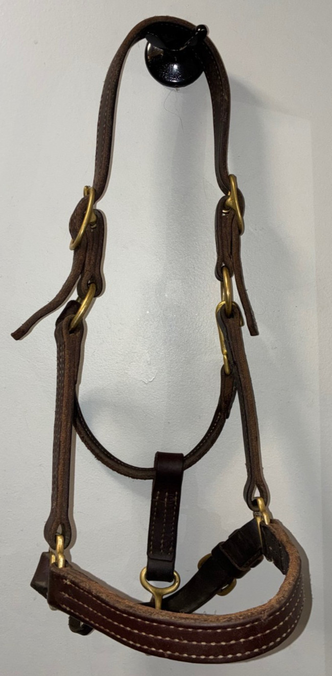 WEAVER LEATHER THICK TRIPLE STITCHED HORSE SIZE HALTER