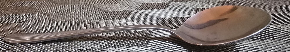 Stainless Steel Silver Serving Spoon 6.75" Long