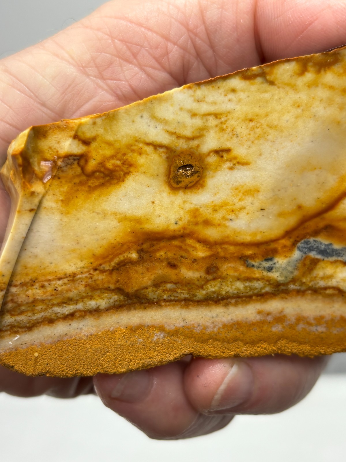 Disaster Peak Picture Jasper Slab Cabbing Lapidary Collecting Combo Ship Avail