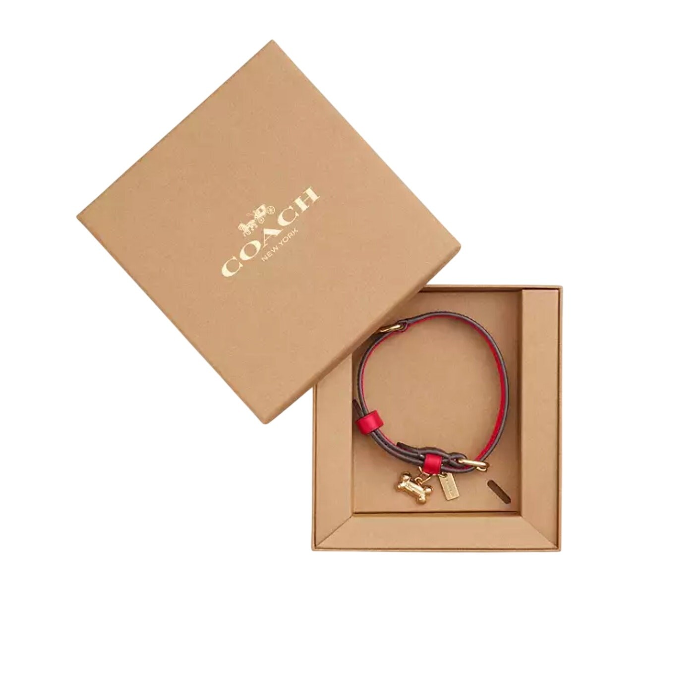 Coach Boxed Small Pet Collar In Signature Canvas new