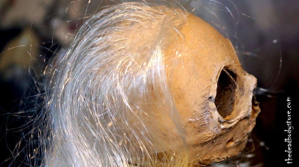 OOAK Scary Doll probably not haunted