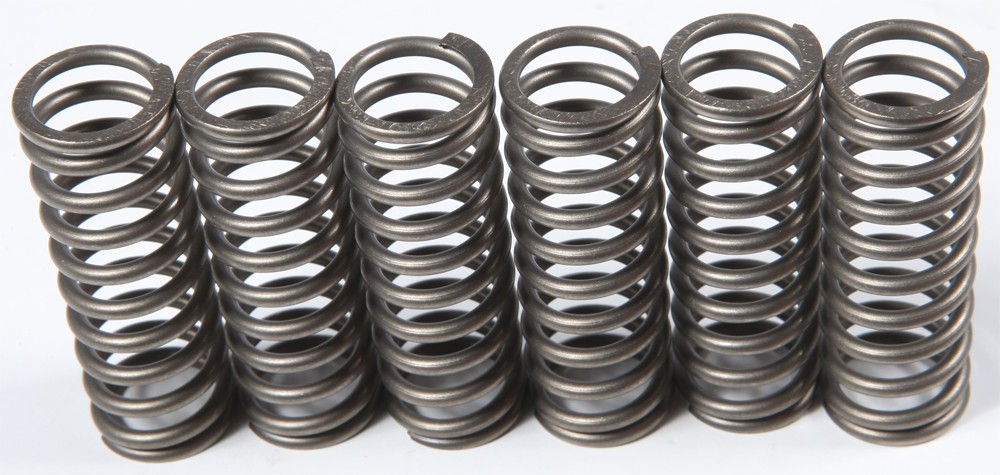 EBC Clutch Spring Set CSK186