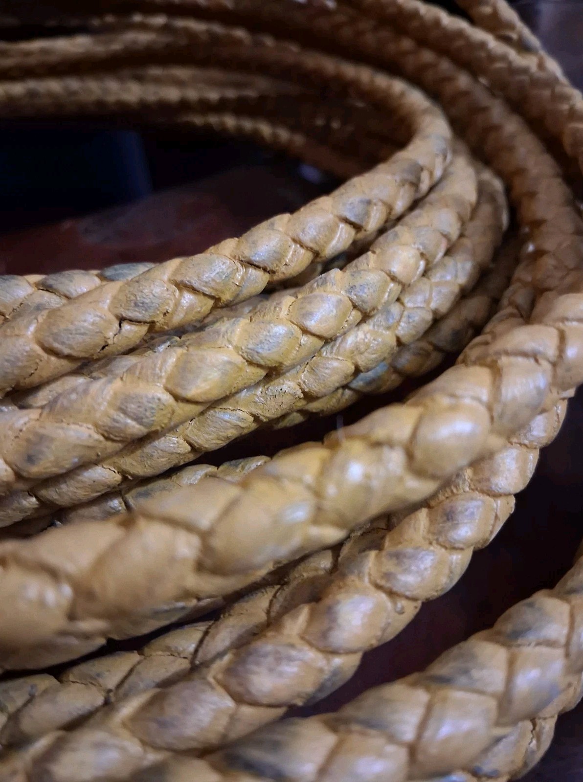 Vintage Rawhide Leather Riata Lariat Lasso