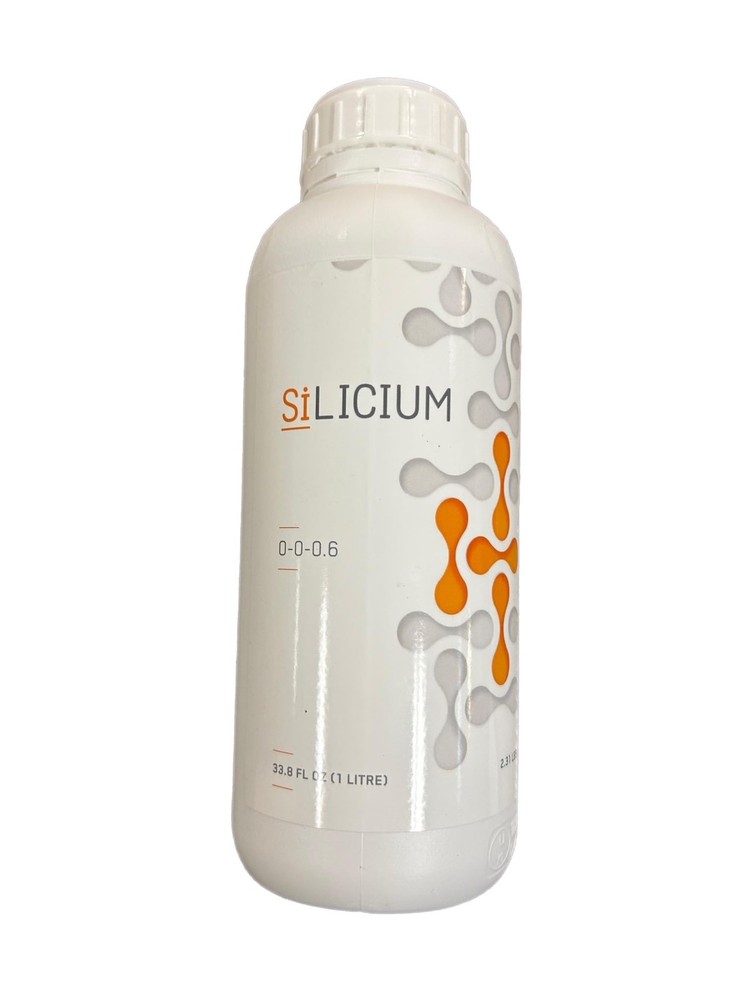 Silicium 1L