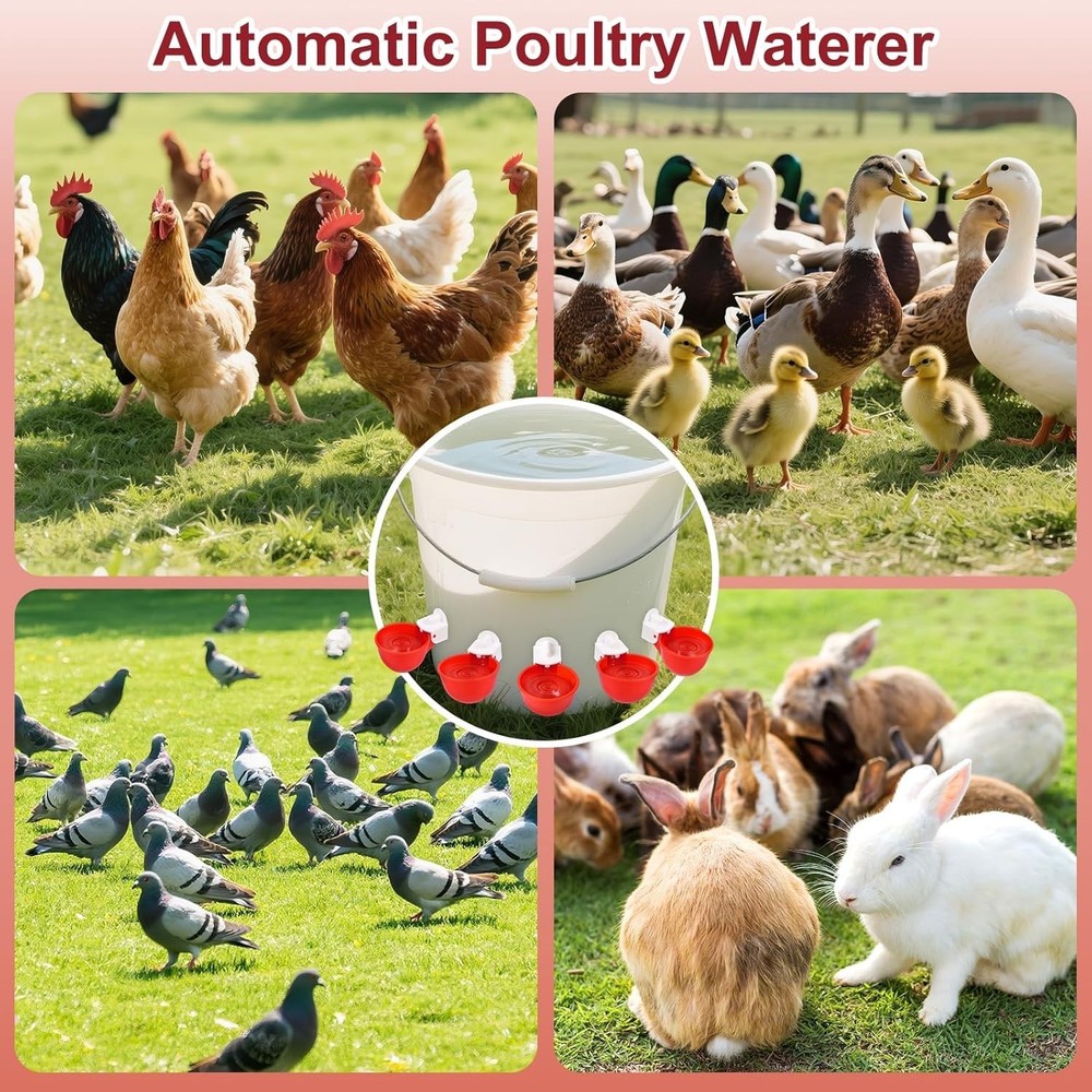 Easy Install Automatic Chicken Waterer – Durable Cups for Ducks, Turkeys & More