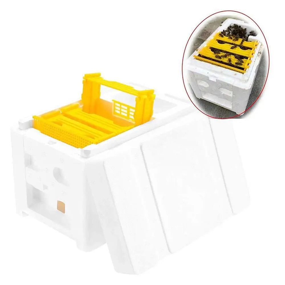 1Set Queen Bee Rearing Mating Beehive Beekeeping Tools Foam Beehives Pollination