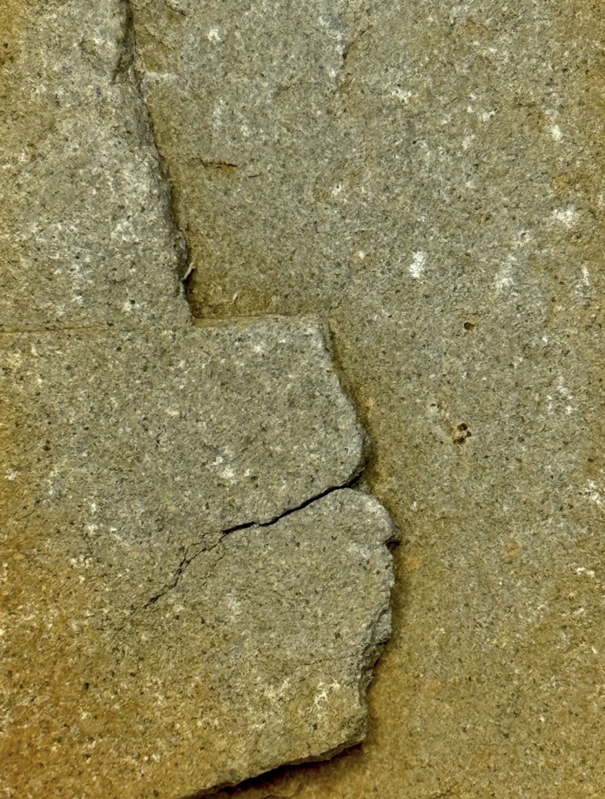 Native American Indian Authentic Artifact Stone Carved Effigy, 2 lb 12 oz • VA