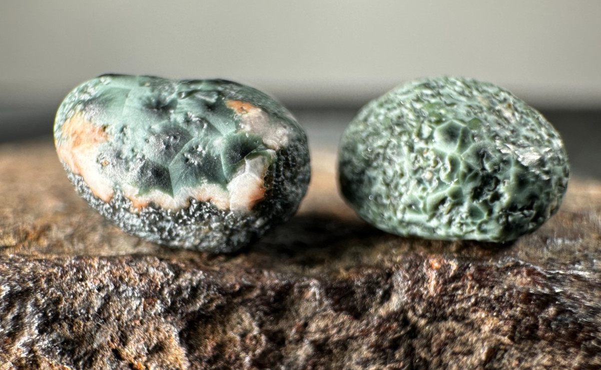 ➤3.65 Ct Lake Superior GREENSTONE(Chlorastrolite)UP Michigan Gem Isle Royal➤1105