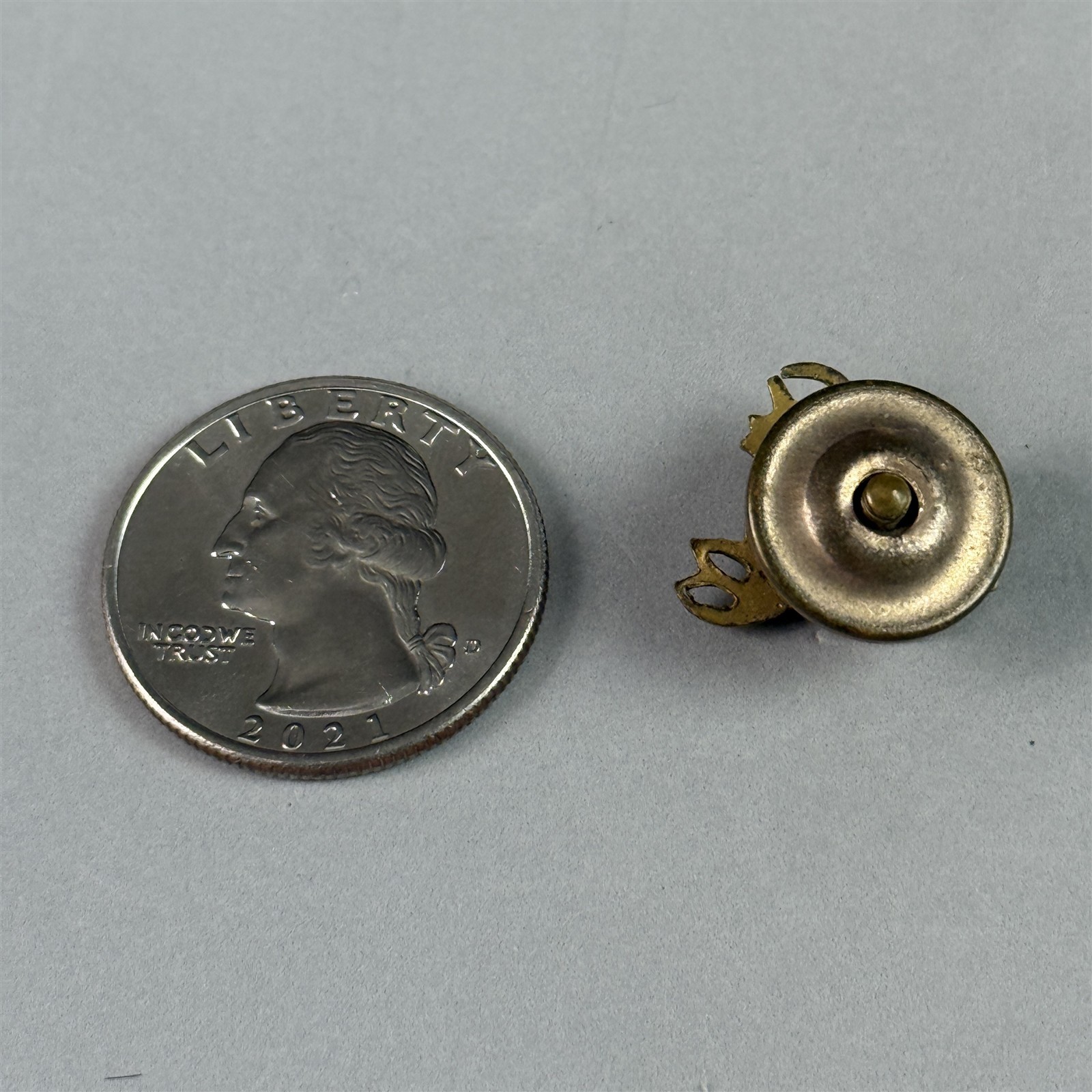 Vtg Loyal Order Of The Moose PAP Purity Aid Progress Stones Screw Back Pin 54731