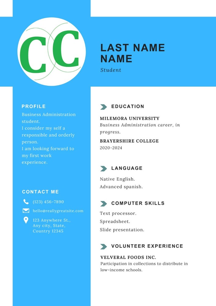 Modern Resume Template Bundle | 11 Editable Canva/PDF/PPTX Templates | CV