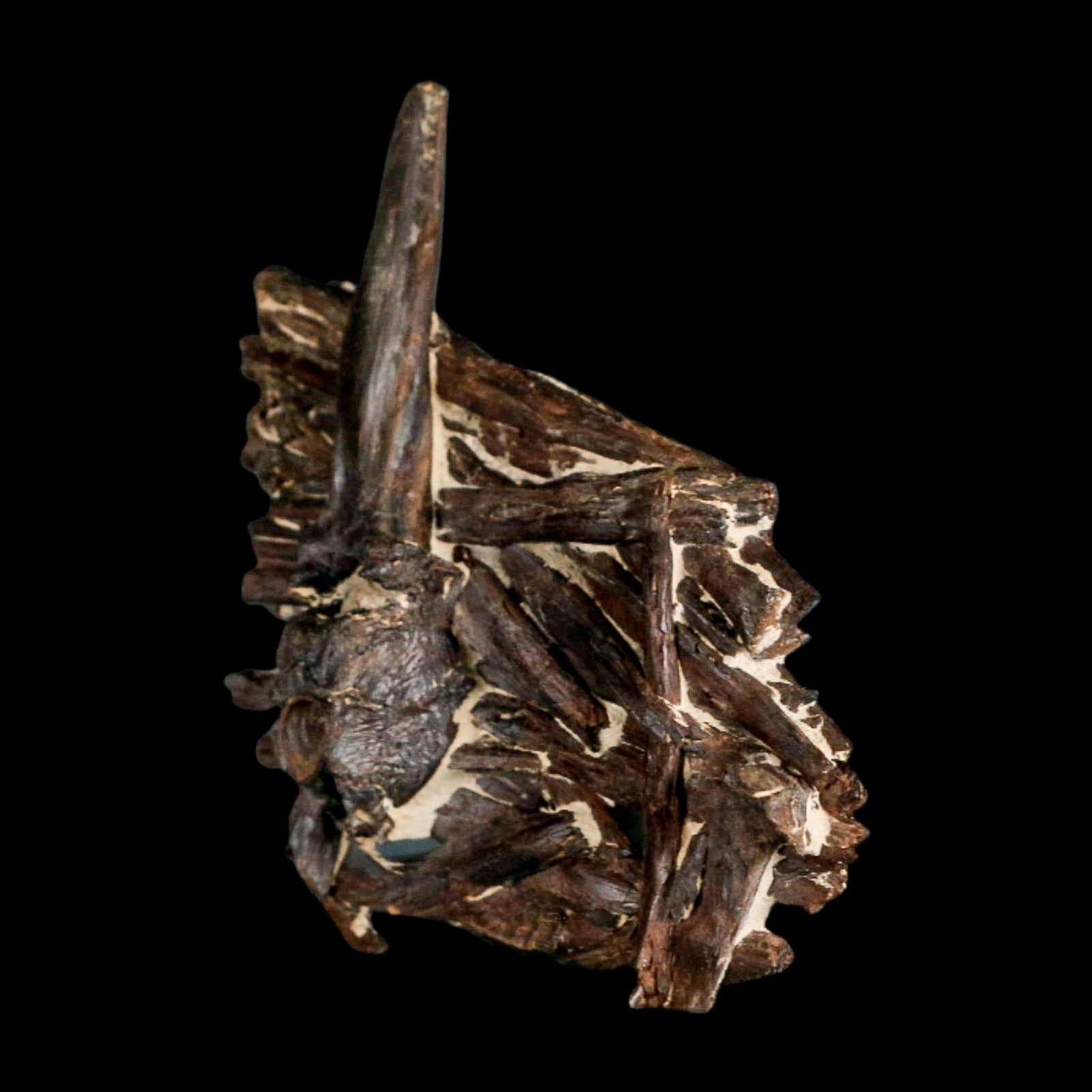 3.1" Unknown Fossil Vertebrae And Bones in Matrix Late Cretaceous Era Niobrara