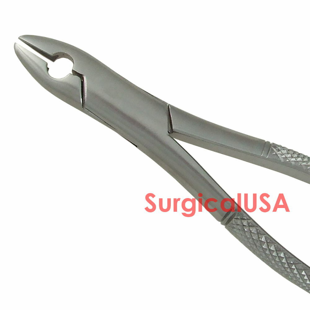 Dental Extracting Forceps #1STD Serrated Beaks Dentist Surgical Instruments